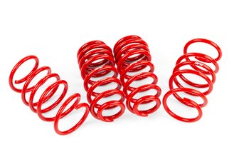 APR Roll-Control Lowering Springs