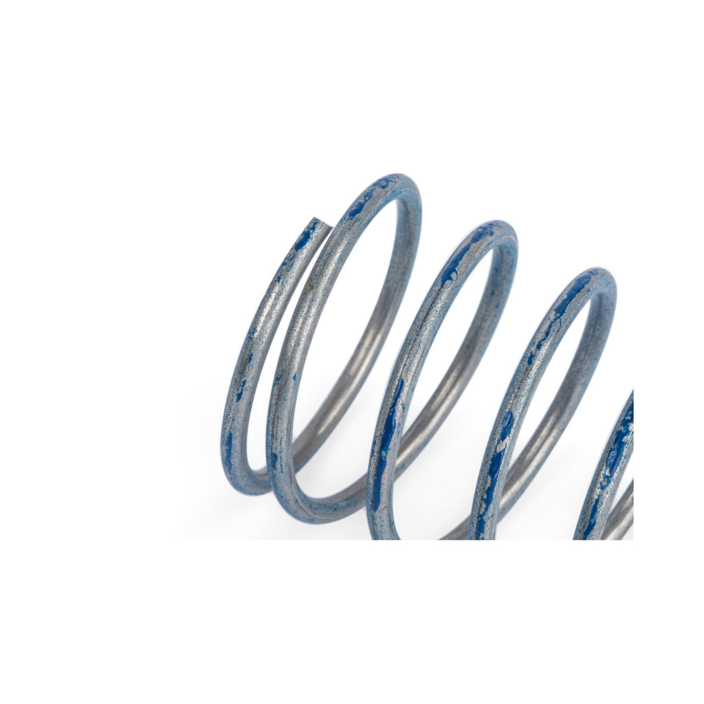 APR R1 DV Higher Pressure Spring