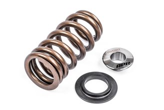 APR Valve Spring Kit (1 Set)