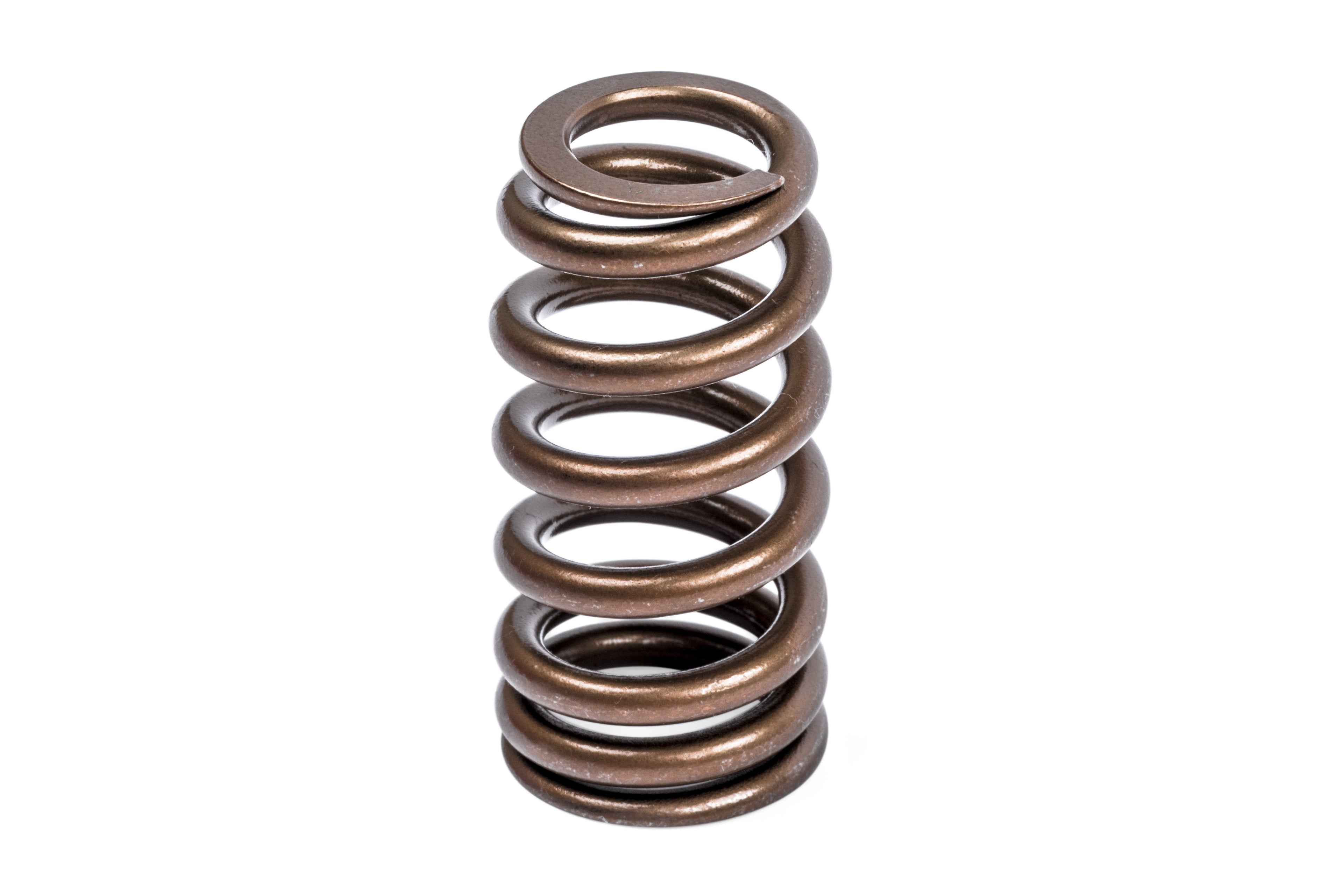 APR Valve Spring Kit (1 Set)
