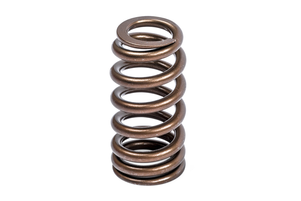 APR Valve Spring Kit (1 Set)